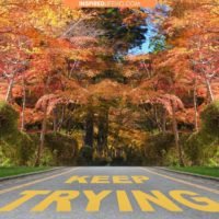 keep trying quotes